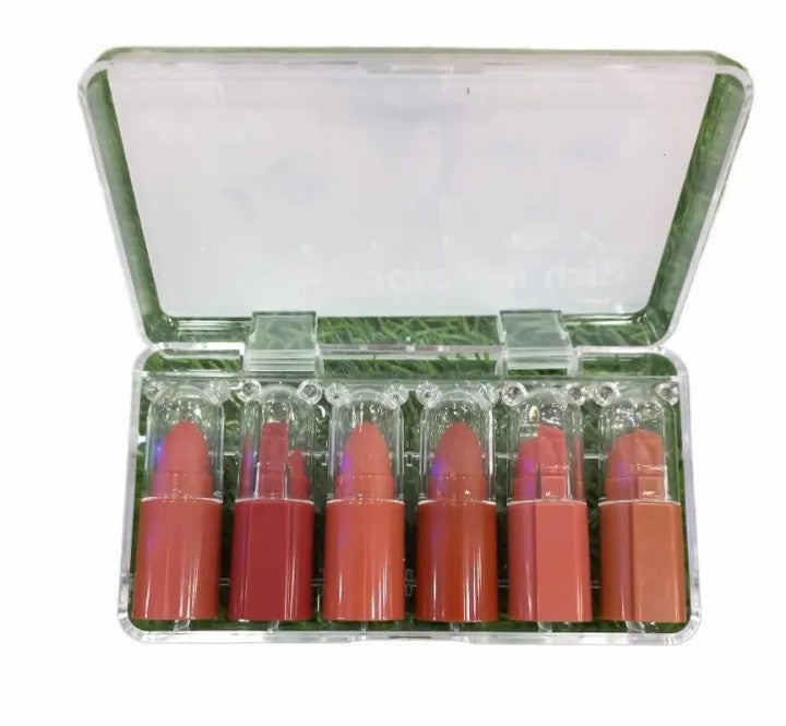 💄 6 Piece Mini Lipsticks Nude & Reddish Shades – Velvet Matte Long Lasting Mini Lipstick Set (Pack of 6)